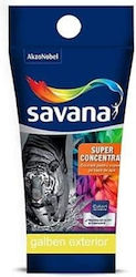 Colorant Exterior Superconcentrat 30 Ml Galben Savana T04 Ext10017 Colorant Exterior Superconcentrat 30 Ml Galben Savana T04 Ext10017