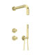 Deante Built-in Mixer Phone & Shower Head Set for Shower Gold