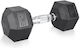 inSPORTline Hexagon Dumbbell 1 x 10kg