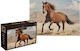Puzzle 2D 1000pcs