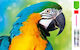 Diamond Mosaic Embroidery Zola Parrot Design 20 X 30 Cm