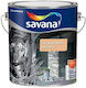 Lac De Piatră Protector Exterior Interior Savana Transparent 2.5l Ext10095