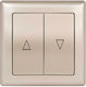 Daria Satin Roller Shutter Switch