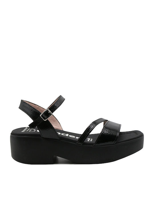 Wonders Black Sandals