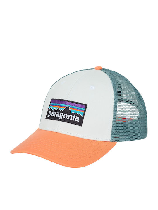 Patagonia P-6 Logo Lopro Trucker Hat Cap
