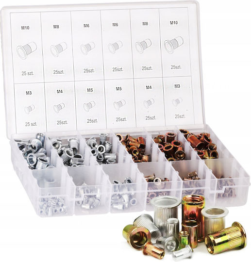 Set Cutie Cu Nuci 300 Bucăți