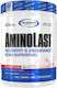 Gaspari Aminolast 390гр Ягода и Киви