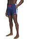 Men's Swimwear Shorts Blue Striped