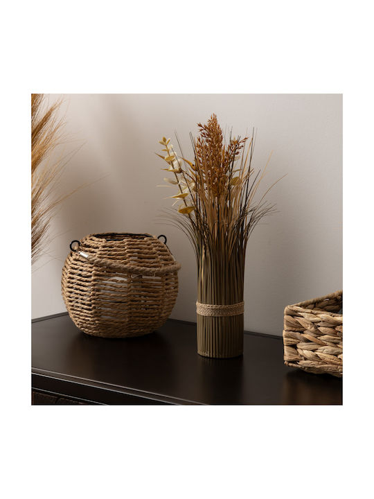Dried Decorative Branches 35cm A-s James 204221...