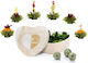 Creano Green Tea 6 Bags 190gr