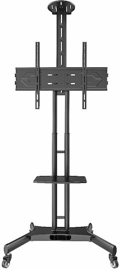 Focus Mount T633L TV-Halterung Boden bis 85 und 90kg