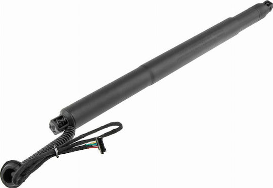 Gas Trunk Shock Luggage Compartment Bmw X6 2014-2019 4.4l Suv Bmw X6 2014-2019 3.0l Suv Bmw X6 2014-2019 2.0l Suv