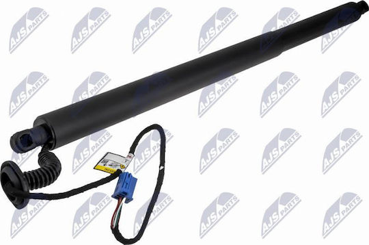 Gas Shock Trunk Compartment Mercedes-Benz GLS 2019-0 3.0L SUV Mercedes-Benz GLS 2019-0 2.9L SUV Mercedes-Benz GLS 2019-0 4L SUV