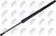 Gas Shock Luggage Compartment Lexus Nx 2014-0 2.5l Suv Lexus Nx 2014-0 2.0l Suv