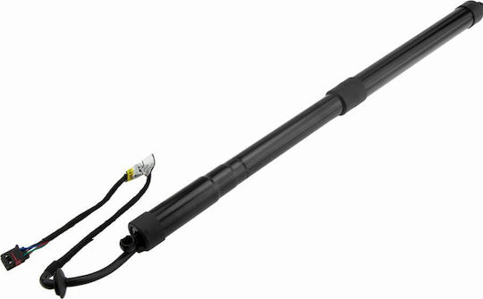 Bonnet Motor Rear Nissan Pathfinder III 2005-0 4.0L SUV Nissan Pathfinder III 2005-0 2.5L SUV Nissan Pathfinder III 2005-0 4L SUV