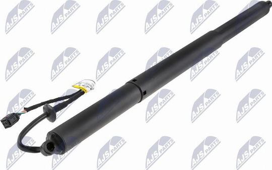 Gas Shock Trunk Area Porsche Cayenne 2017-0 3.0l SUV Porsche Cayenne 2017-0 4l SUV Porsche Cayenne 2017-0 3l SUV