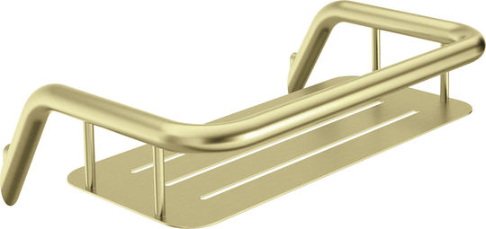 Deante Elektrisches Gitarren Set für Eingebaute Wasserhähne für Dusche Gold