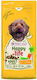 Happy Life 2.5kg Trockenfutter für Erwachsene Hunde Kleine Rassen mit Huhn Fleisch und Reis