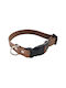 Hundehalsband Hexa Braun Wasserdicht Bailu S 27 37 Breite 2cm