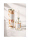 Home Fragrance Stick Perfume Mango Bali Coconut 100ml 6.5x6.5x18.5cm Pink Kaeming