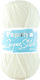 Papatya Knitting Yarn Acrylic Super Stitch Ecru...
