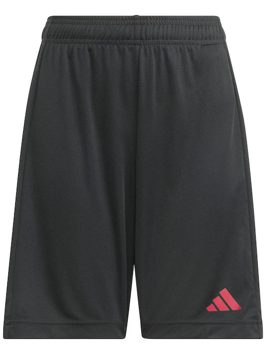 adidas Sho KS3010