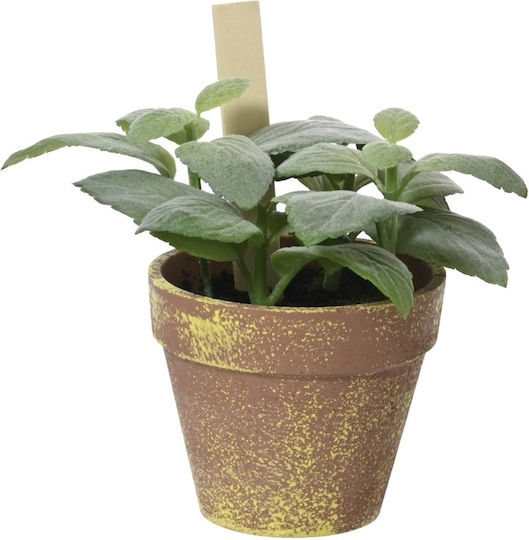 Plantă Artificială Busuioc Ghiveci Plastic 15x15x17cm Kaemingk 890082-2 00056307