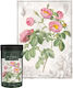 Puzzle 2D Botanic Rose 1000pcs