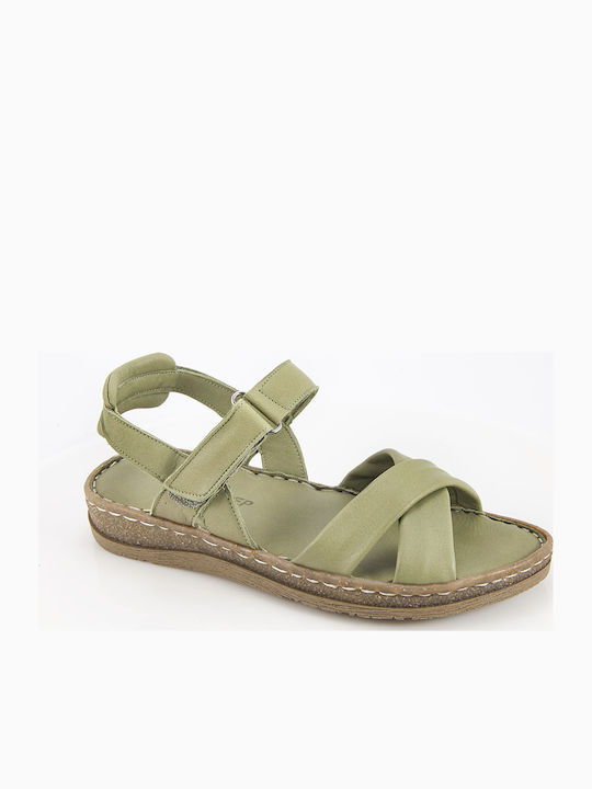 Anatomic Summer Women's Green Platforms