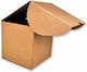 Domani Cutie De Ambalaj Perete Triplu P13 X L13 X Î13 Cm 50 Buc Dcube13
