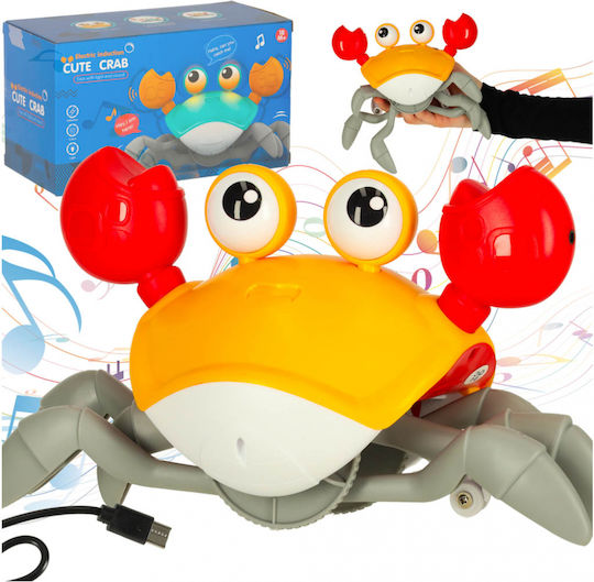 ikonka Baby Aktivitätsspielzeug Mit Musik Und Sounds Für 36+ Monate
