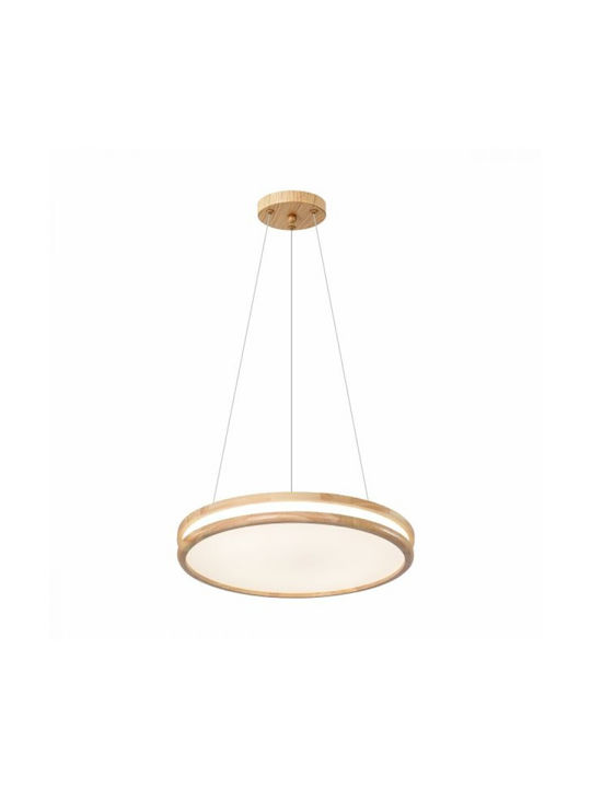 Spot Light Pendant LED Light with Adjustable White Light