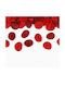 Partydeco Rote Rosenblätter 100 Stück Tasche