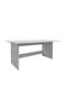 Desk Taule Wooden White 120x60x74cm