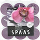Spaas Aromatic Tealights Up To 8 Hours Duration 18 Pieces