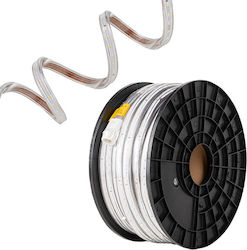 123led Ταινία LED Ψυχρό Λευκό 123led Ταινία LED Ψυχρό Λευκό
