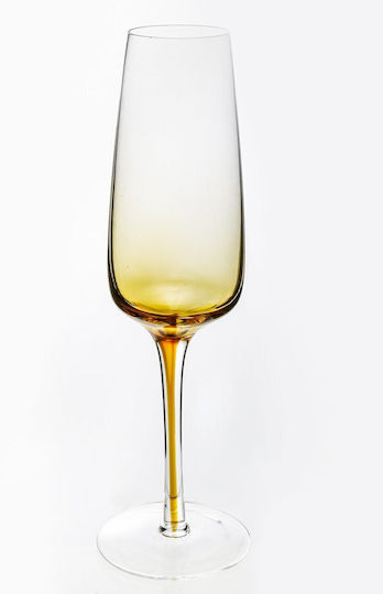Domoletti Champagne Glass Set made of Glass Honey Goblets 6 Pieces