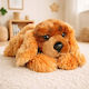 Dubi Plush Puppy 30 cm