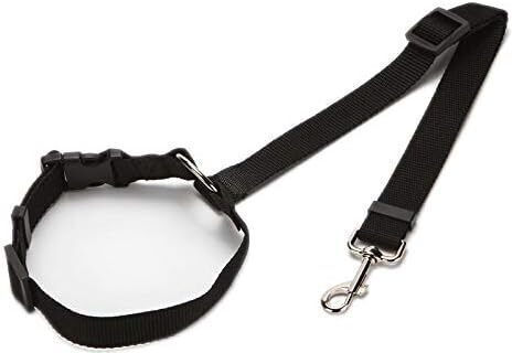 Adjustable Dog Car Seatbelt Black