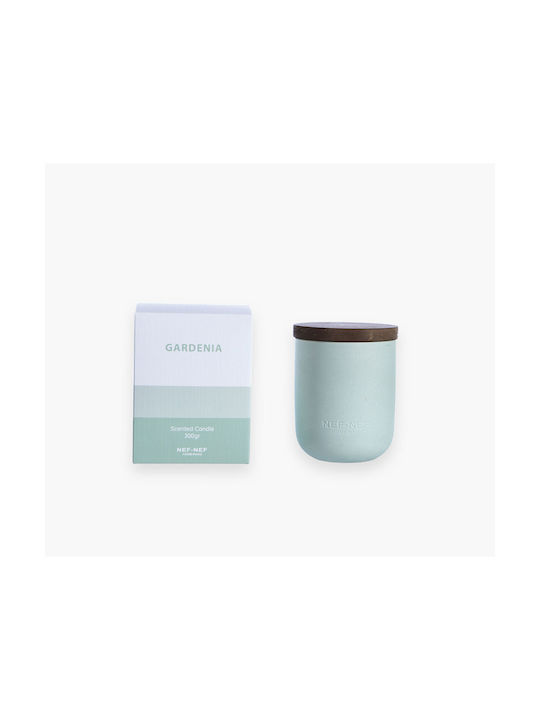 Nef-Nef Homeware Aromatische Kerze Gardenia in Gefäß Grüne 200gr