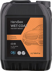 Hendlex Hydrophobe Beschichtung Wet Coat Nasse Oberflächen 5lt Hendlex Hydrophobe Beschichtung Wet Coat Nasse Oberflächen 5lt