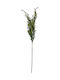 Kladí Plastiko Dendrolívano 75cm Grünes 12068 Kod.8358