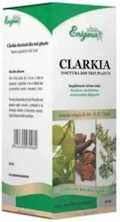 Enigma Tinctură Antiparazitară Din Trei Plante 50ml Cocos Enigma Tinctură Antiparazitară Din Trei Plante 50ml Cocos