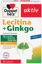 Doppelherz Lecitină + Ginkgo 600mg 30 Capsule Original Doppelherz Lecitină + Ginkgo 600mg 30 Capsule Original