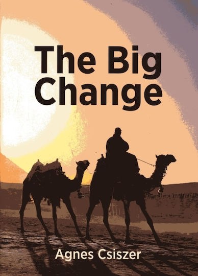 Big Change - Christian Focus Publications Ltd - Paperback / Softback