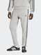 Herren-Sweatpants Jogginghose Grau