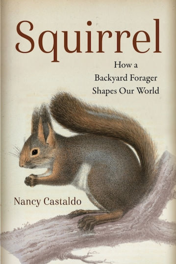 Squirrel - Island Press - Hardback