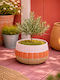 Kaemingk Multicolour Plant Pot 31x31x18cm