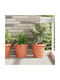 vidaXL Set of 24 Plastic Flower Pots Terracotta