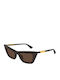 Bottega Veneta Unisex Sunglasses with Brown Horn-Rimmed Frame and Brown Lenses BV1446S 002